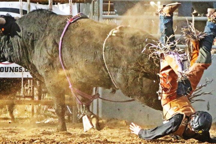 PHOTOS: Thrills and spills of bull-riding at Weyburn HS Rodeo