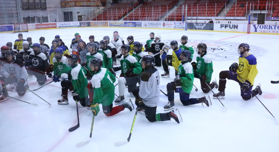 terrier-camp