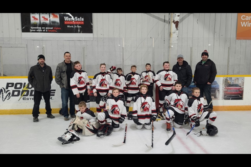 The Torquay U11 Lions reached the gold medal game of a tournament in Estevan.