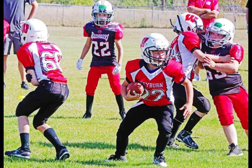 A player for the Weyburn Cardinals looked for room to run, during a scrimmage against the Estevan Cudas on Sunday.