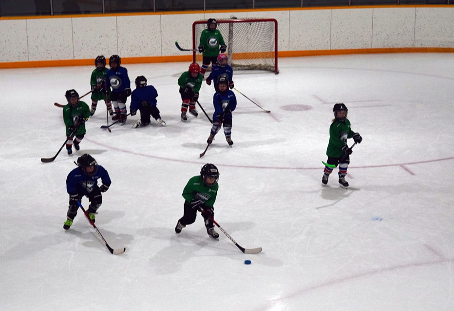 Up-and-coming young hockey players from Canora, Preeceville and Norquay gathered in Canora on Jan. 13 for the Hockey Sask U7 Cross Ice Jamboree.