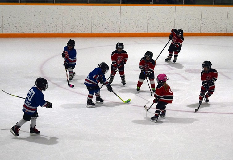 During the U7 hockey tournament in Canora on Feb. 10, the host Canora Cobras (red jerseys) did battle with the Preeceville Pats. Melville and Kamsack also sent teams to the tournament. 