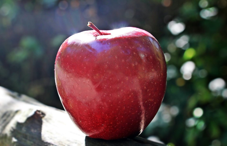 apple-1702374_1280