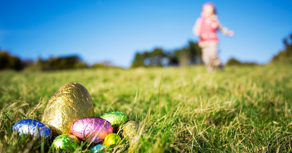 Easter Egg Hunt