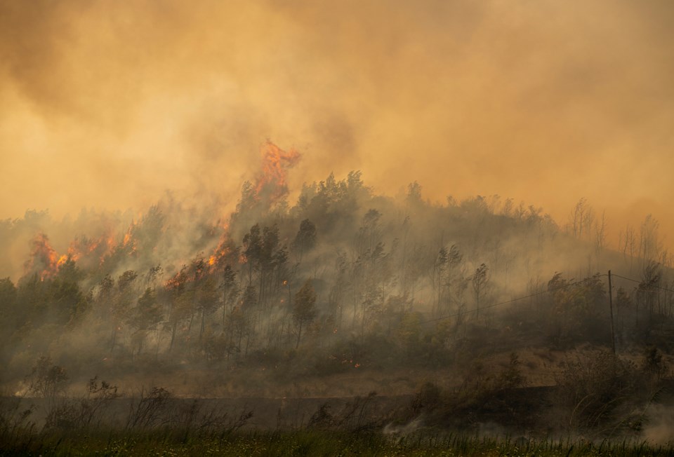 forest-fire-smoke