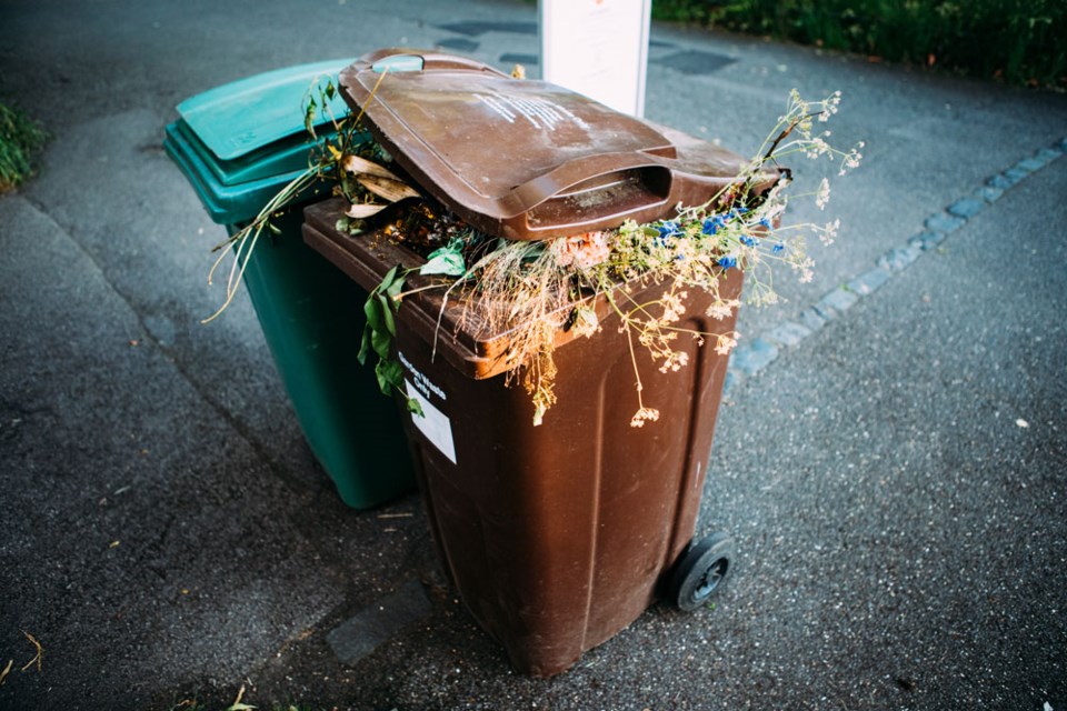 Getty Spring Cleanup