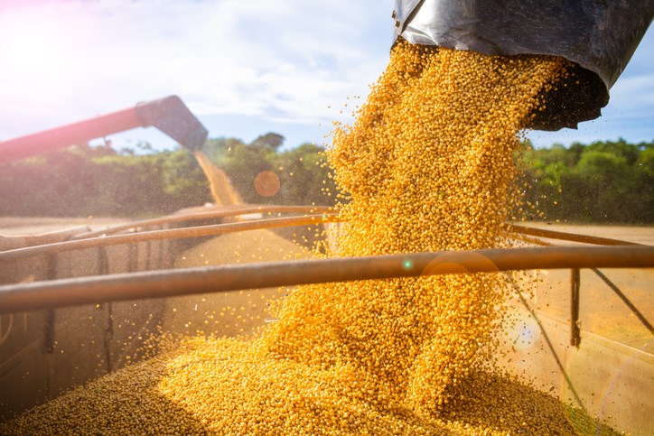 grain unloading into truck