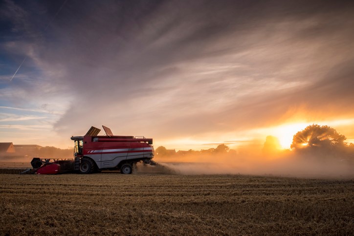 harvest by sunset