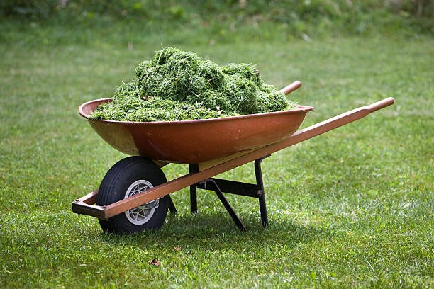 grass clippings
