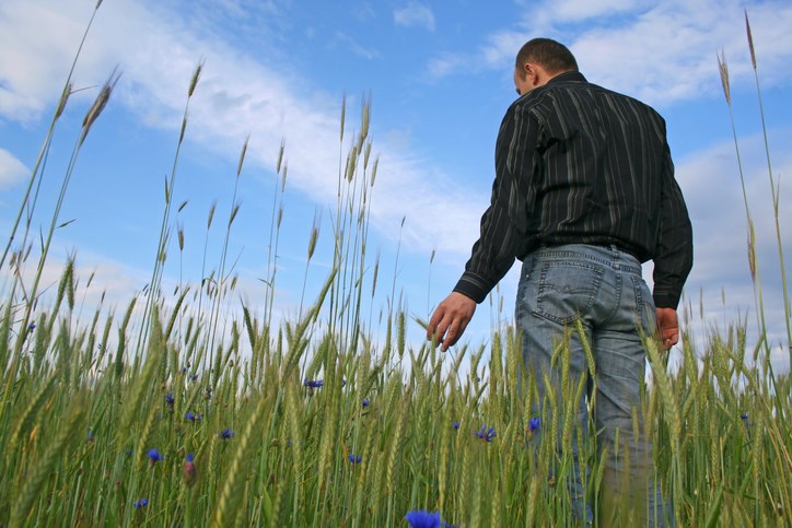 man in field