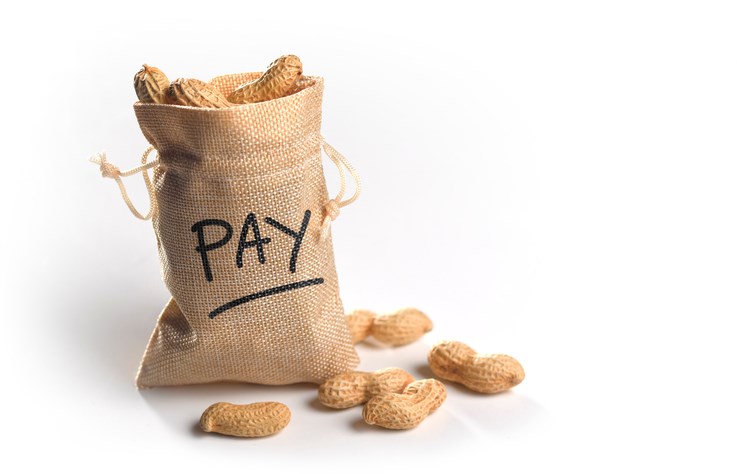 minimum wage peanuts