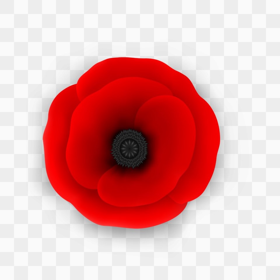 poppy1122