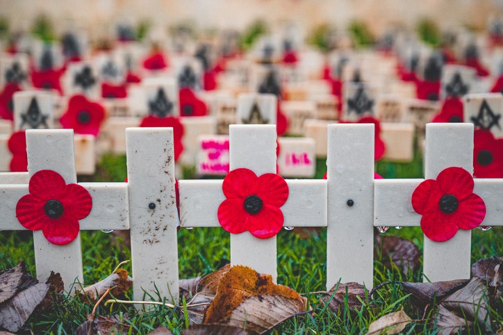 Rows of Poppies on crosses