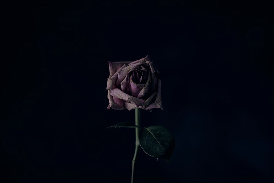 death-unsplash