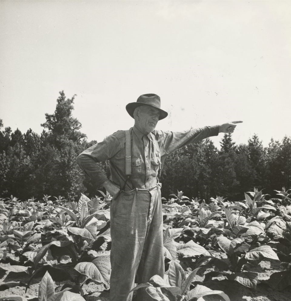farmer-field-unsplash