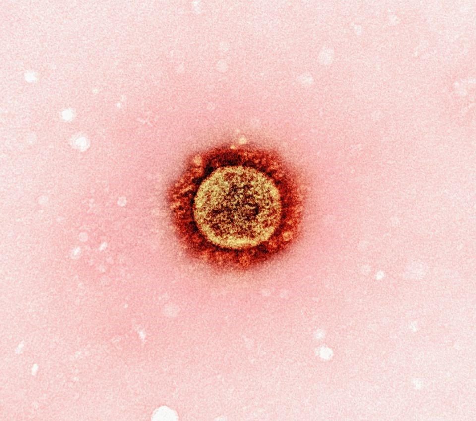 measles-unsplash