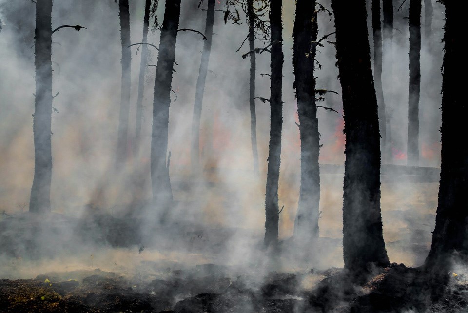 wildfire-unsplash