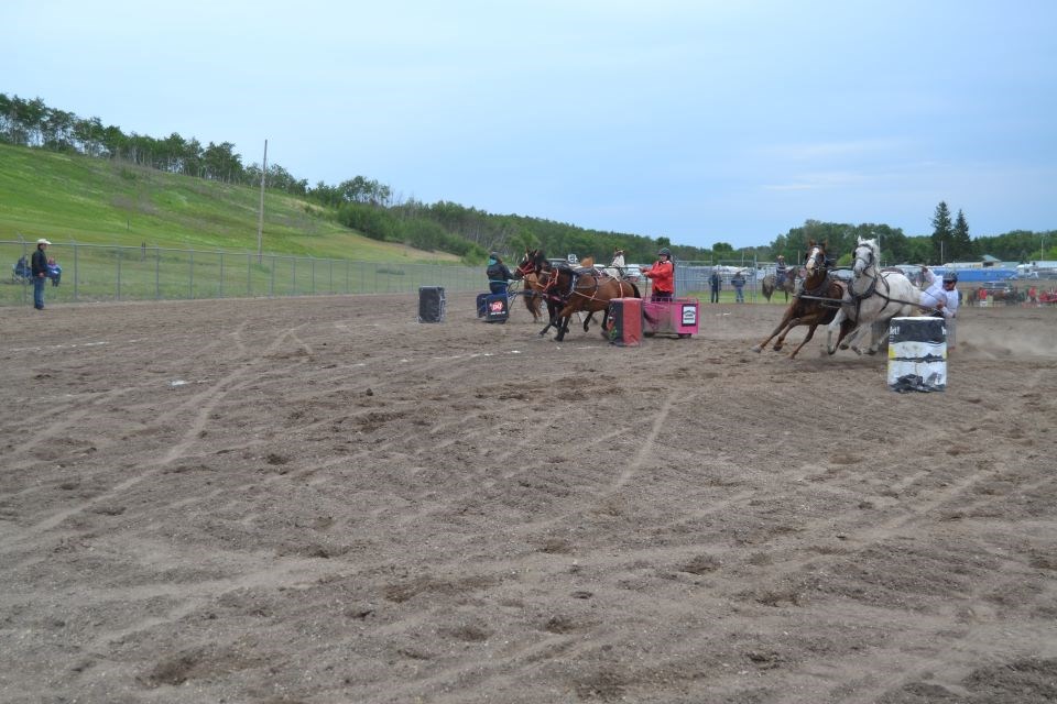 There were 51 chariots racers in attendance at the Sturgis Sports Day weekend. 