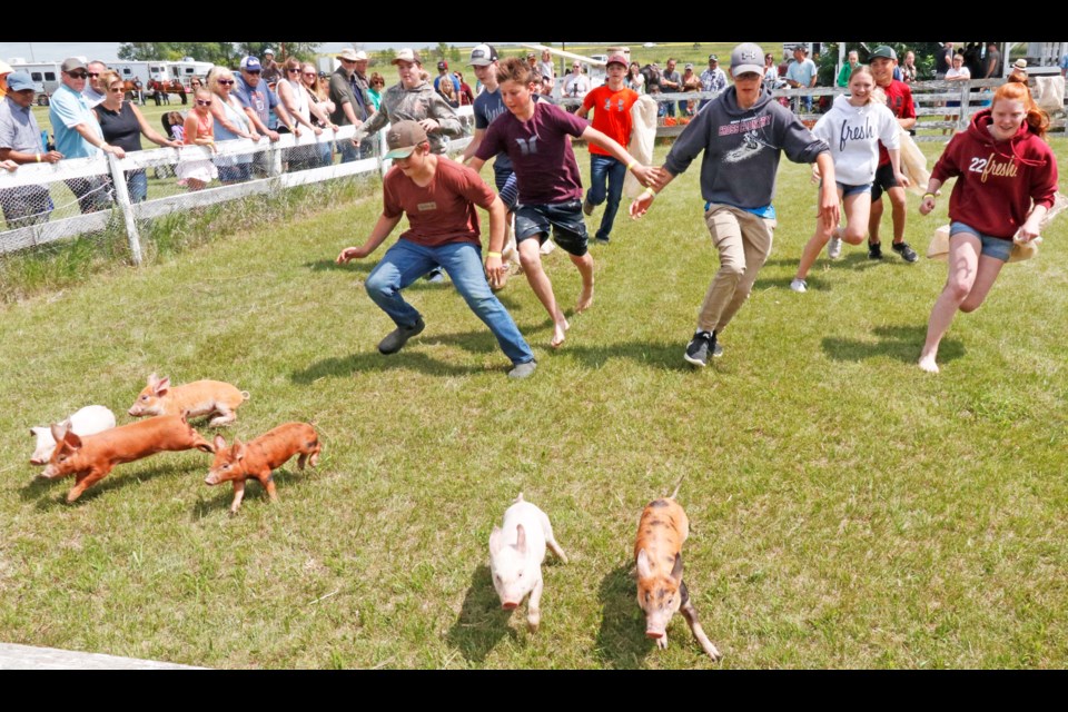 The perennial favourite for families to see and participate in is the pig scramble on the fair grounds.