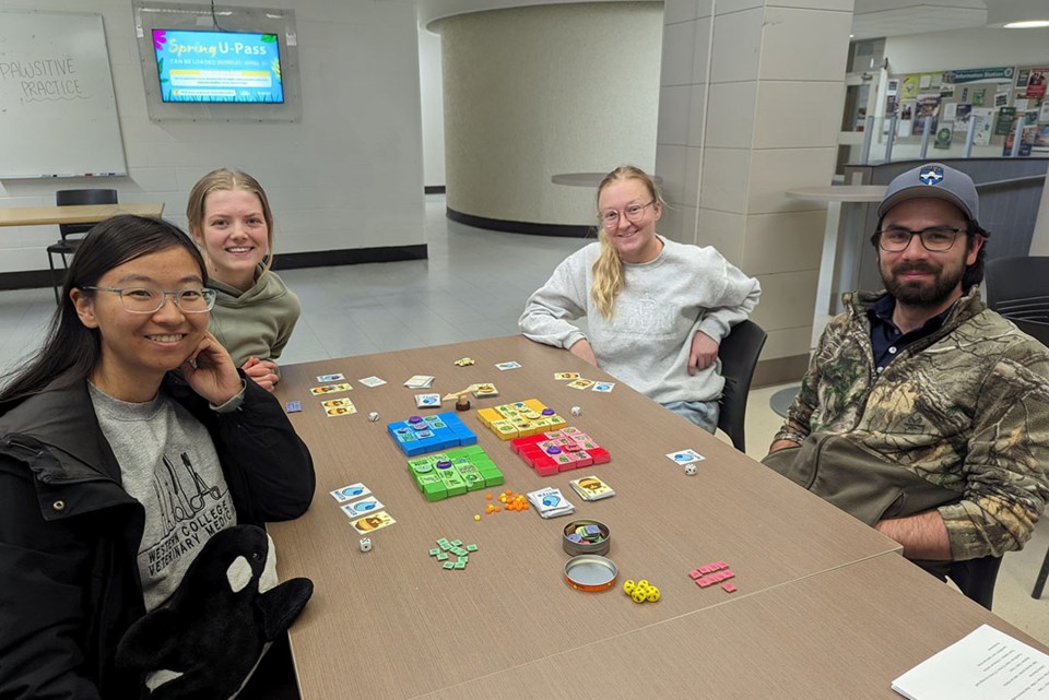 wcvm-honey-bee-game-1