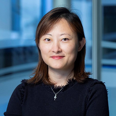 dr-yang-yang-phd