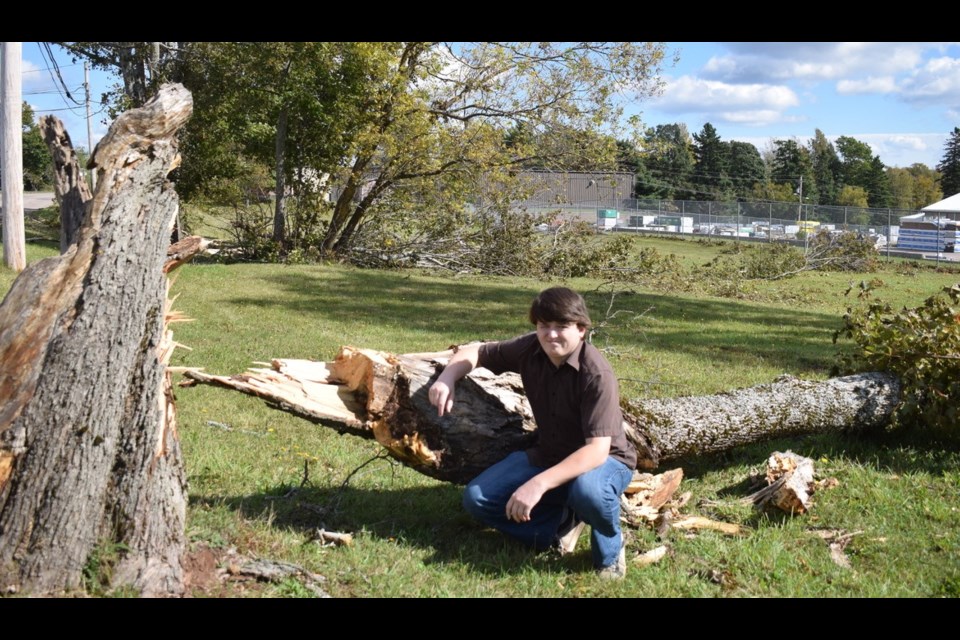 Josh Lewis, who lived in Estevan from 2011-2015, kneels next to a toppled tree in Montague, P.E.I.