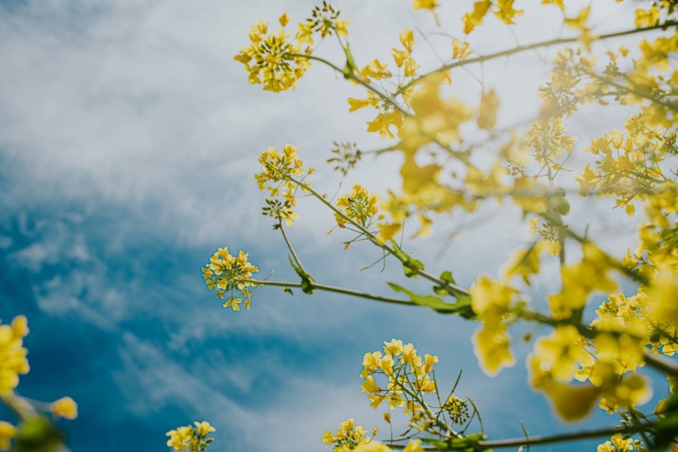 Spring Getty Images