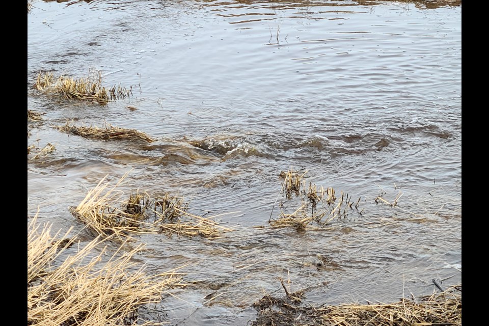 Sask. Water Security Agency provides some insight into their preliminary runoff report issued in February, with update to be released in March.