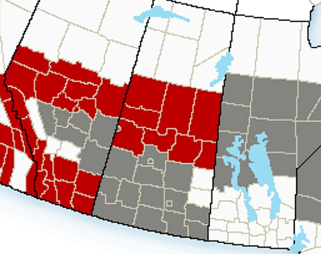 The areas in red indicate a winter storm warning, and in grey represent a special weather statement.