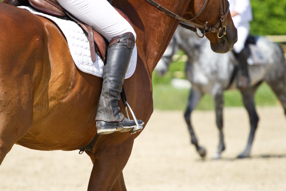 horseback riding AdobeStock