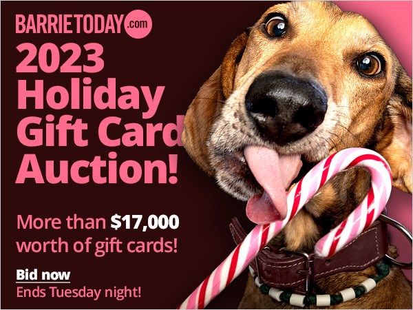 2023_holidayauction_bid_now_600x450_col