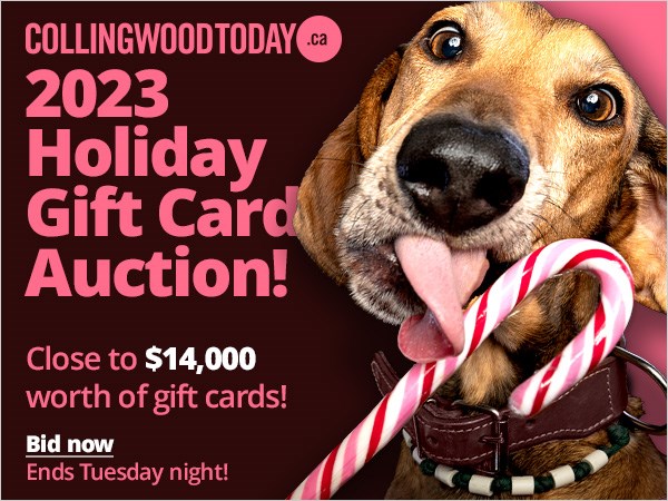 2023_holidayauction_bid_now_600x450_col