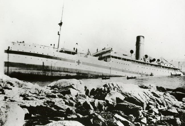 hal500418533