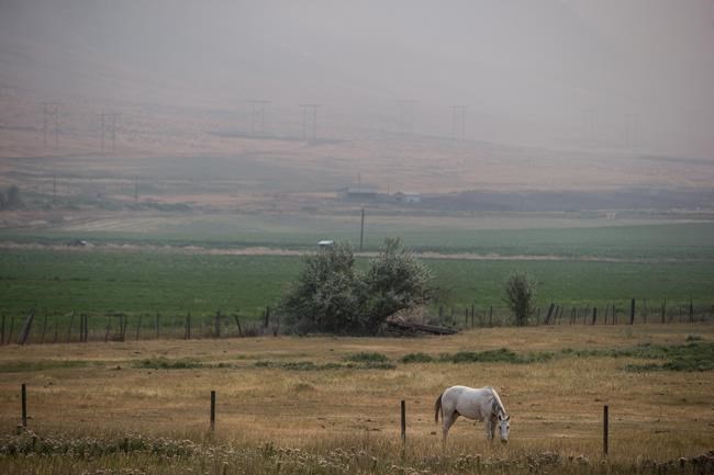 vcrd104418581