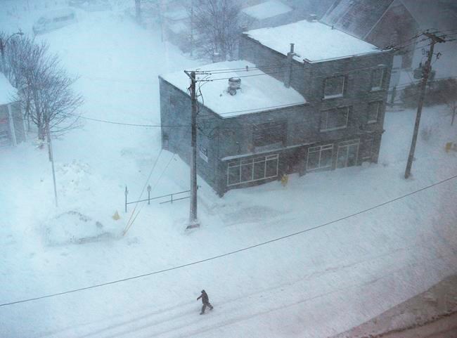 Newfoundland reeling after blizzard buries capital