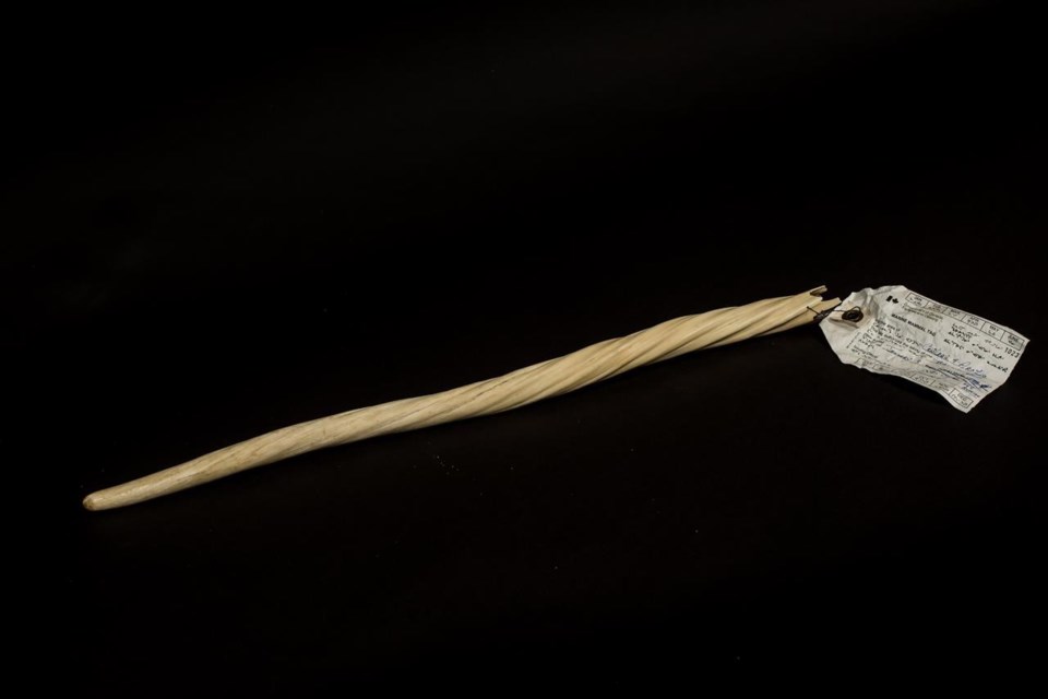 20201020141028-3cf5447d78a502b1c1288cbdbeda2bb8c16ee90c2bc8ba44568232bf3e43817c