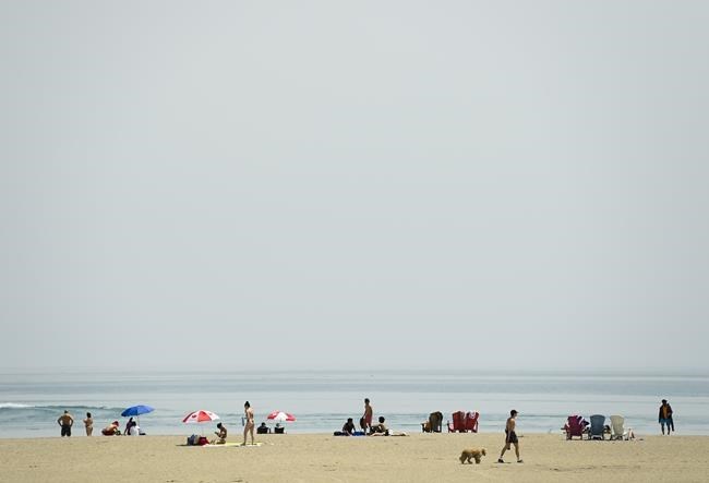 20210525230516-60adbde0908a69255fd69d29jpeg
