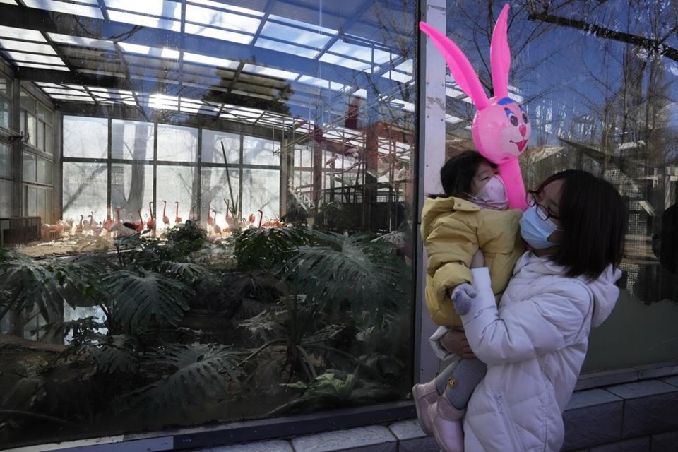 20220201050212-61f907f2cc32fc5d50adac20jpeg