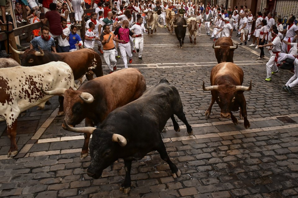 Running of the Bulls in Pamplona, Spain