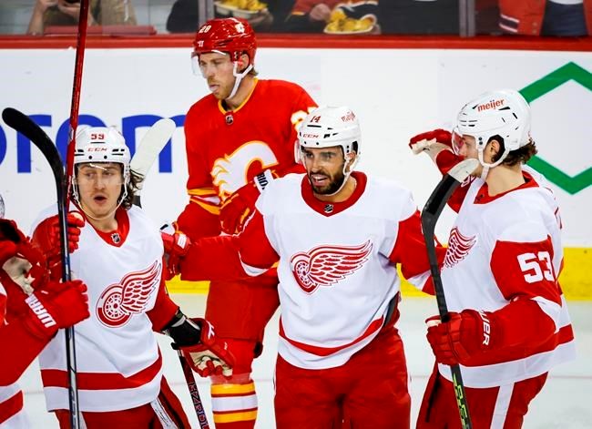 Red Wings put captain Dylan Larkin on IR after cross-check that knocked him  unconscious, National Sports