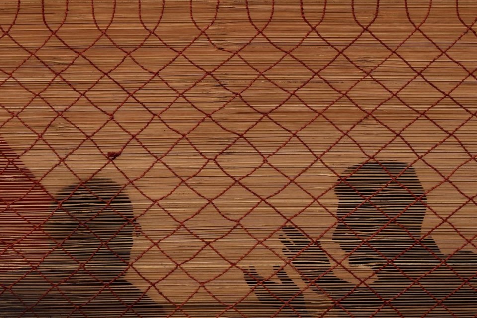 20230225060244-63f9f4b6e7b7716afb016e01jpeg