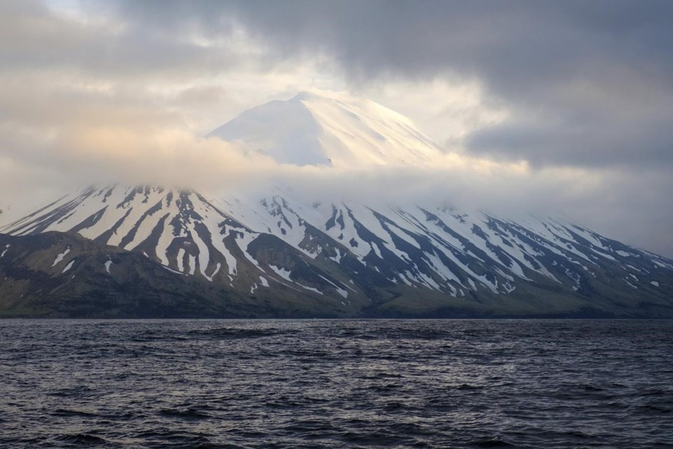 20230308170344-6409105d1f8fdbfab6801308jpeg
