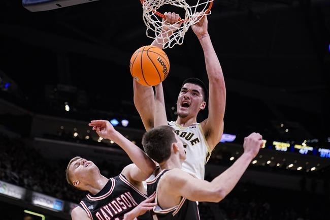 Several Canadians to play key roles in NCAA March Madness tournaments - Guelph  News