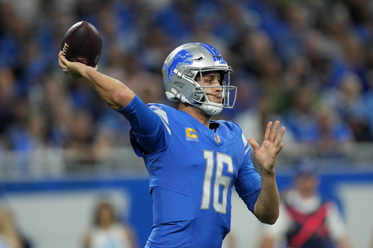 lions american football team