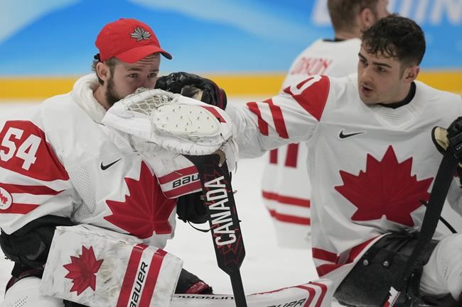 Times de hockey do Canadá e EUA - O que é NHL