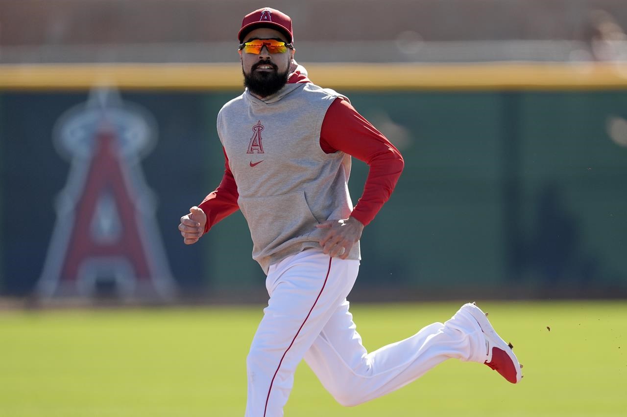 Angels baseball clearance news