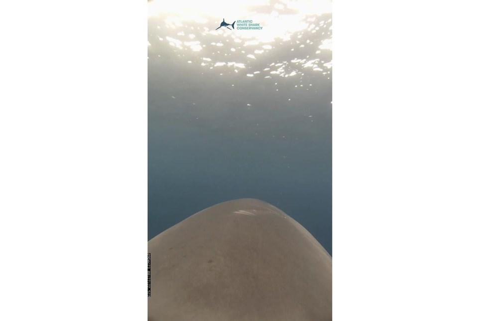 20240311160340-65ef6c5edf90154b515ac2e5jpeg