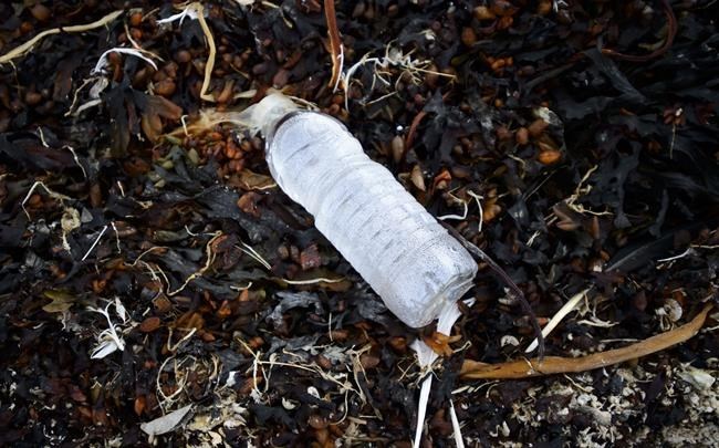 Billions of bottles: Canadian statistics paint grim picture of plastic litter problem