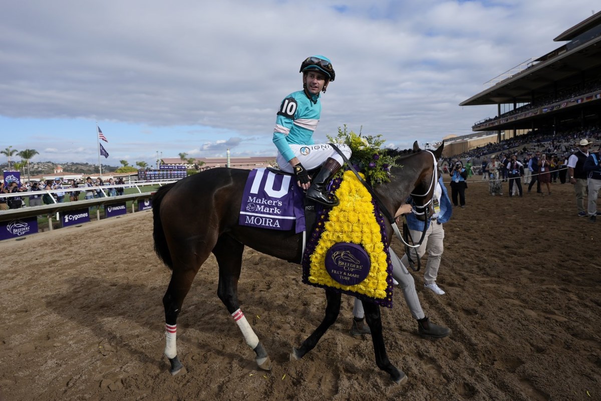 Breeders' Cup victory caps successful partnership between Attard, Moira