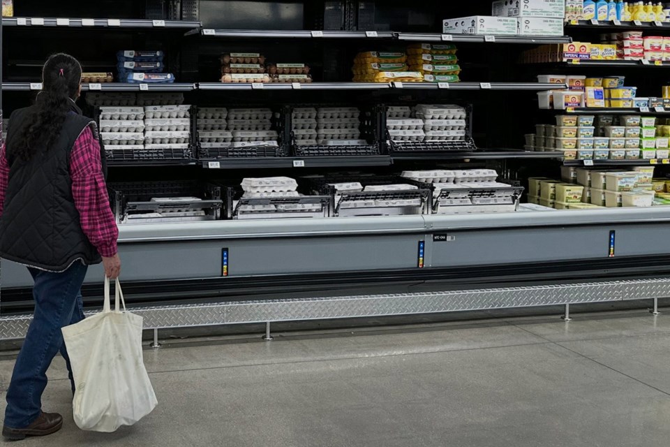 US wholesale prices dropped 0.5% last month despite President Trump's tariffs